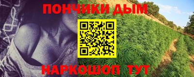 стаф Краснодар