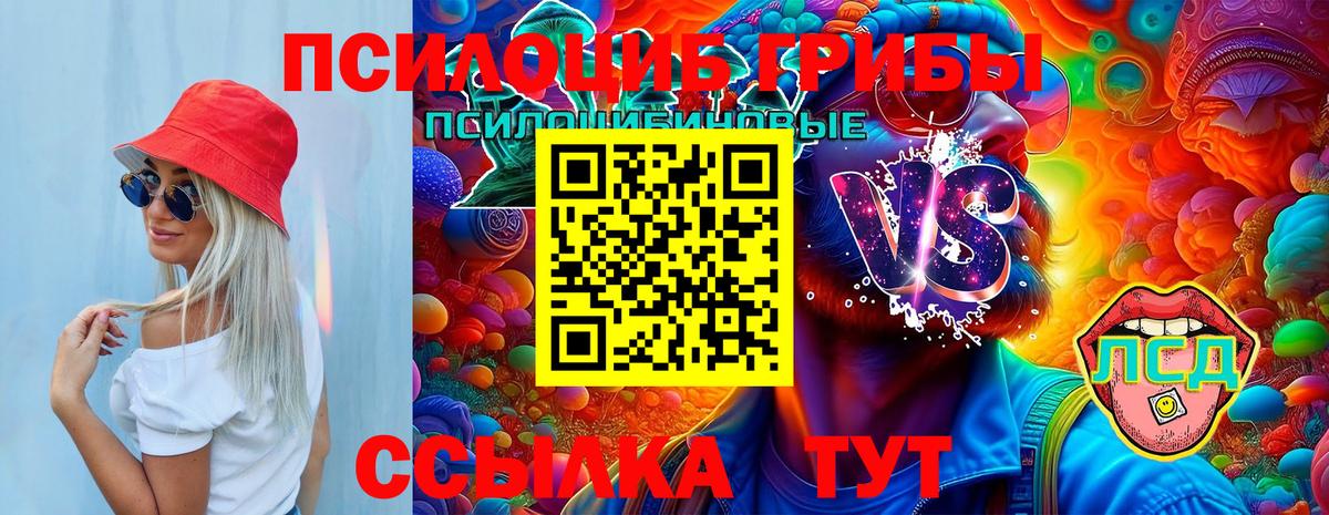 Псилоцибиновые грибы Magic Shrooms  Вход с VPN  Камышлов 